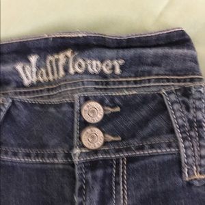 🦋WALLFLOWER